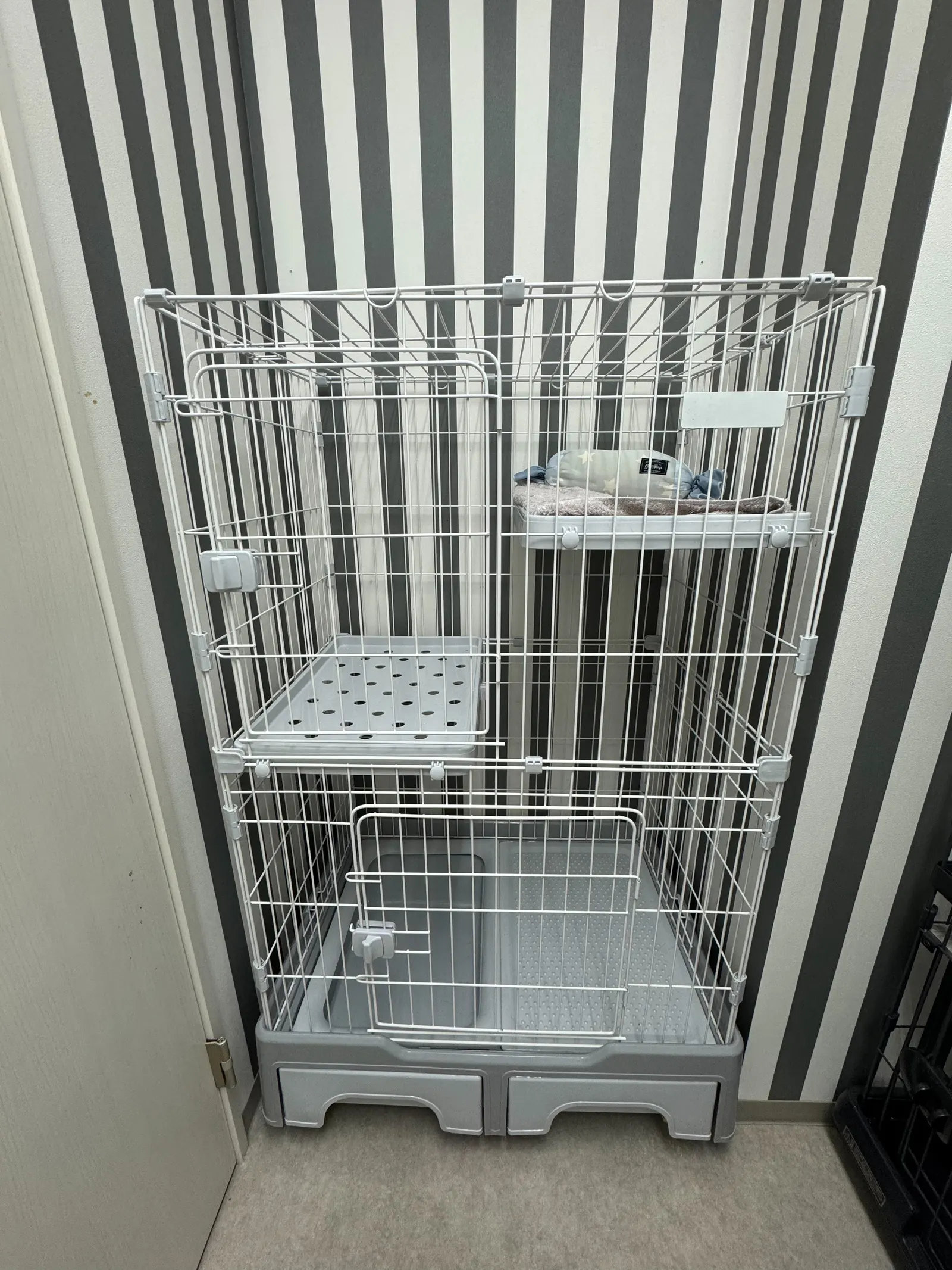 ペットホテルのお部屋