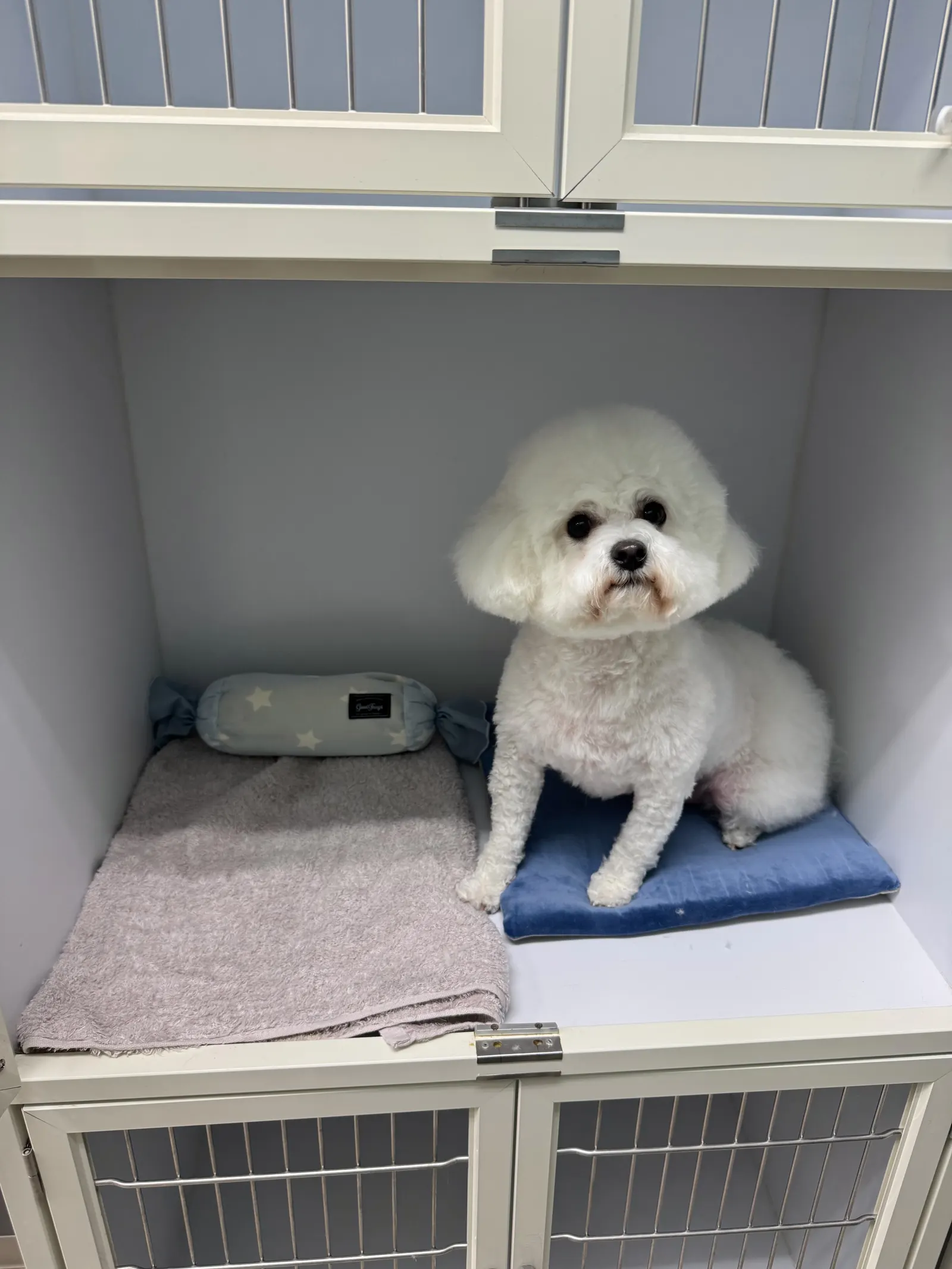ペットホテルのお部屋
